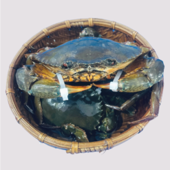 Cua Gạch Cà Mau Size 5Kg