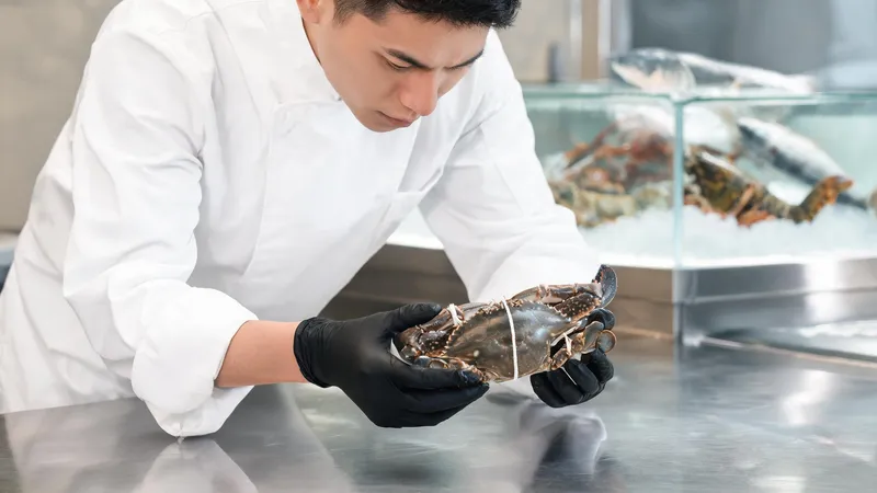 Tiêu chuẩn đầu vào tại Oanh Cua: Giải pháp an tâm cho người bận rộn