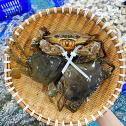Alternative view of Cua Gạch Nhỏ (Size 4 Con/Kg)