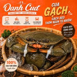Cua Gạch Nhỏ (Size 4 Con/Kg)