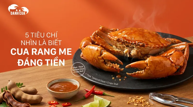 5 Tiêu chí