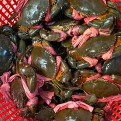 Alternative view of Cua Thịt Nhỏ (Size 4 Con/kg)